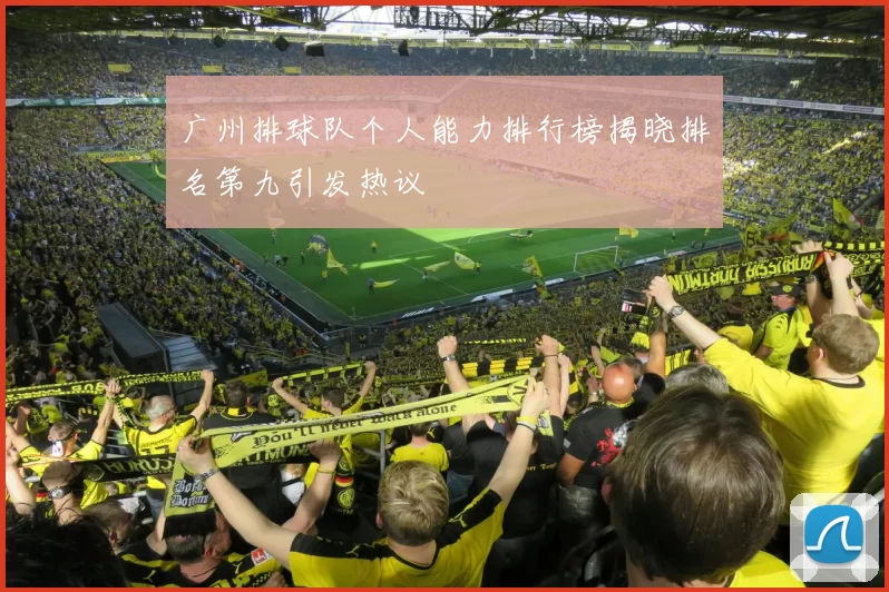 广州排球队个人能力排行榜揭晓排名第九引发热议