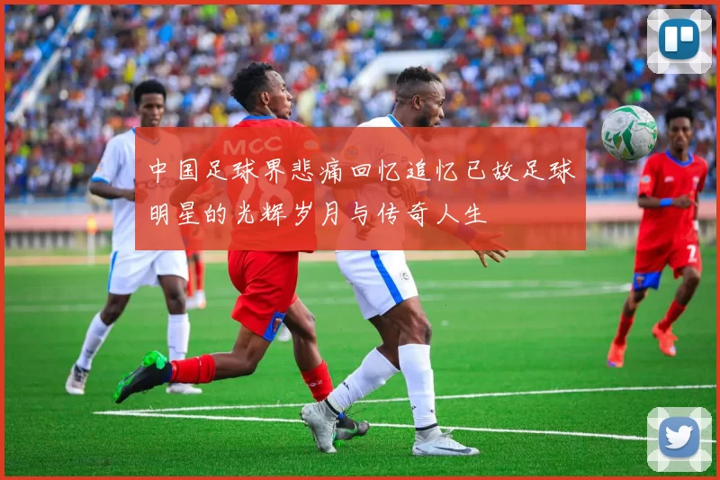 中国足球界悲痛回忆追忆已故足球明星的光辉岁月与传奇人生