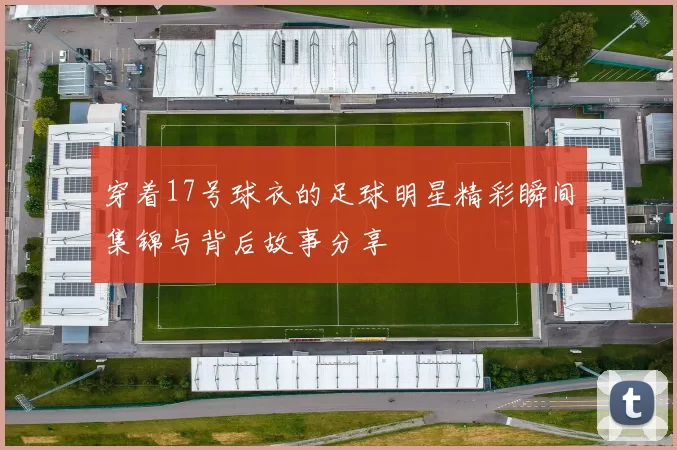 穿着17号球衣的足球明星精彩瞬间集锦与背后故事分享
