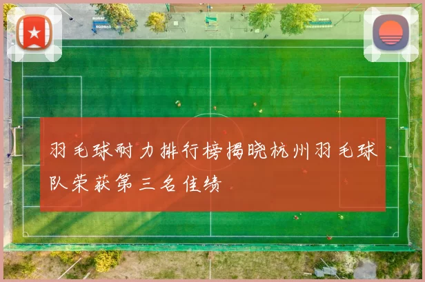 羽毛球耐力排行榜揭晓杭州羽毛球队荣获第三名佳绩