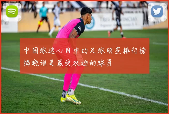 中国球迷心目中的足球明星排行榜揭晓谁是最受欢迎的球员