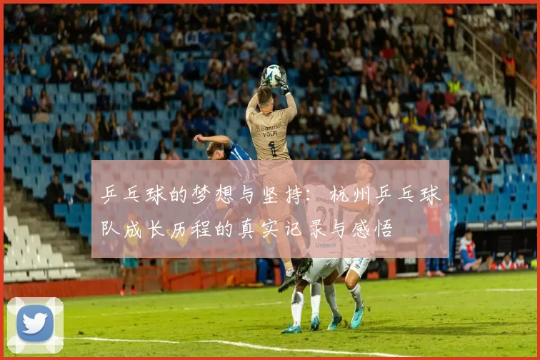 乒乓球的梦想与坚持：杭州乒乓球队成长历程的真实记录与感悟