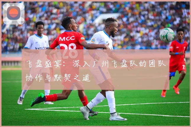 飞盘盛宴：深入广州飞盘队的团队协作与默契之道