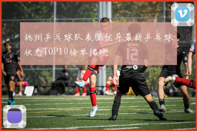 杭州乒乓球队表现优异最新乒乓球状态TOP10榜单揭晓