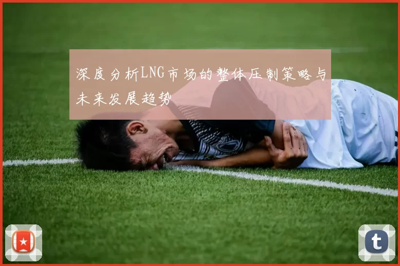 深度分析LNG市场的整体压制策略与未来发展趋势