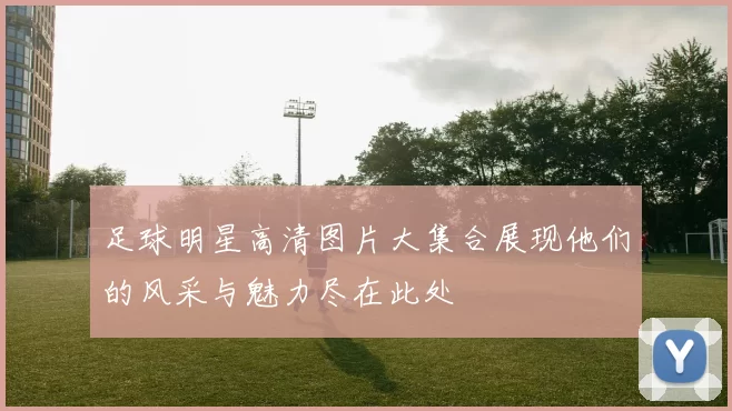 足球明星高清图片大集合展现他们的风采与魅力尽在此处