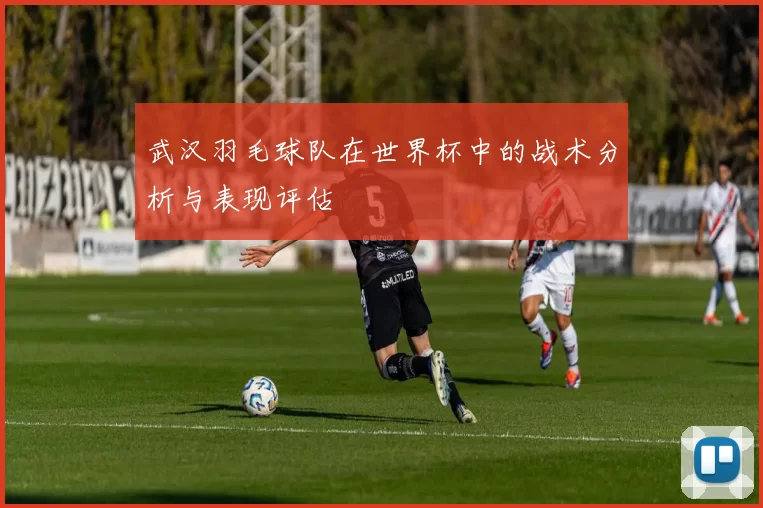武汉羽毛球队在世界杯中的战术分析与表现评估
