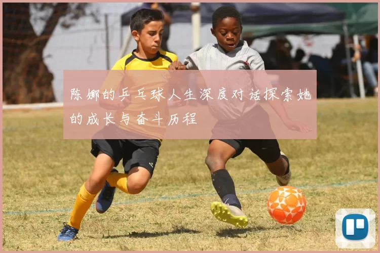 陈娜的乒乓球人生深度对话探索她的成长与奋斗历程
