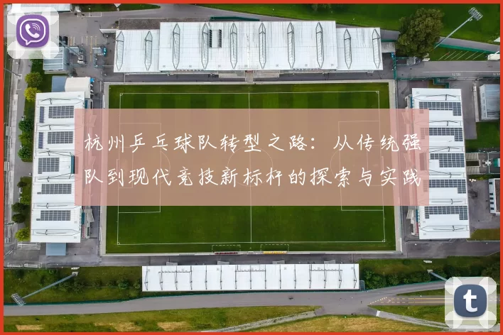 杭州乒乓球队转型之路：从传统强队到现代竞技新标杆的探索与实践