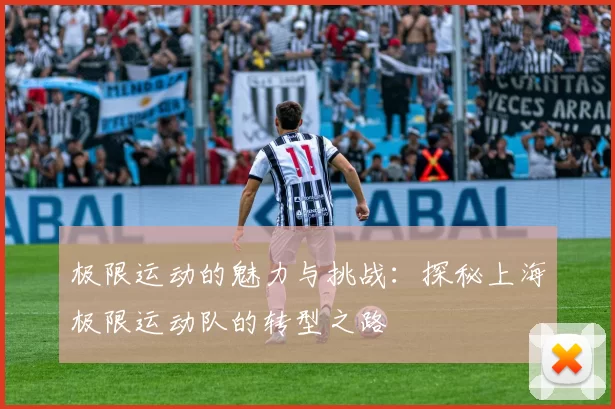 极限运动的魅力与挑战：探秘上海极限运动队的转型之路