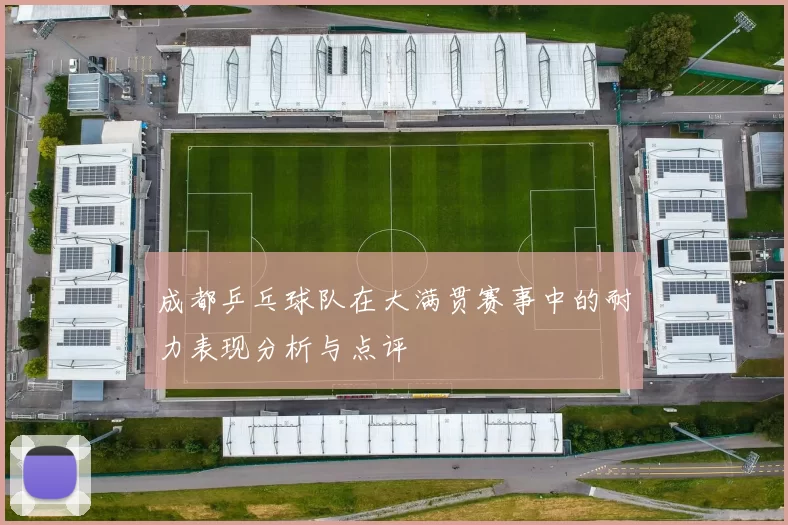 成都乒乓球队在大满贯赛事中的耐力表现分析与点评