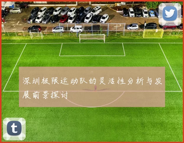 深圳极限运动队的灵活性分析与发展前景探讨