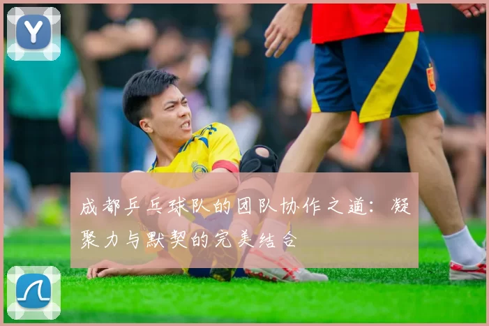 成都乒乓球队的团队协作之道：凝聚力与默契的完美结合