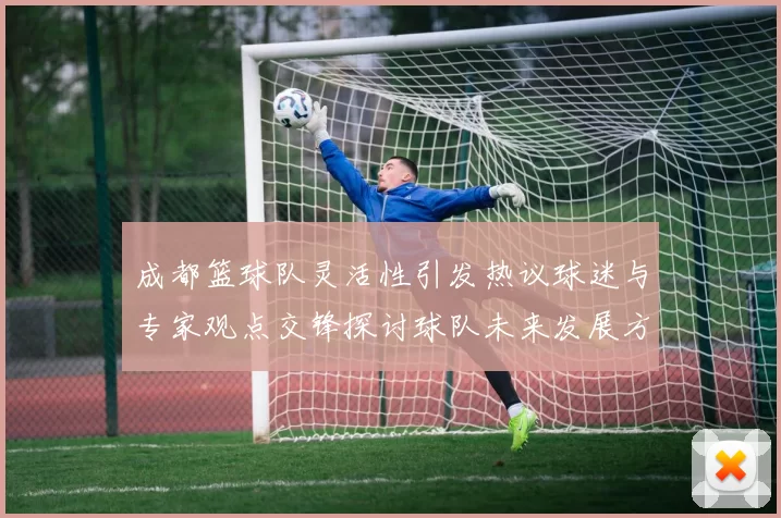 成都篮球队灵活性引发热议球迷与专家观点交锋探讨球队未来发展方向