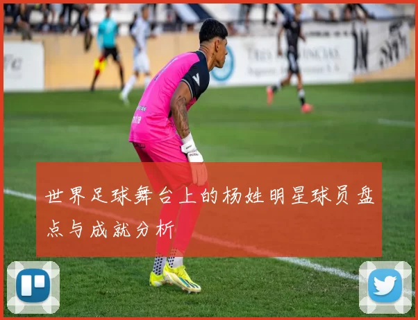 世界足球舞台上的杨姓明星球员盘点与成就分析
