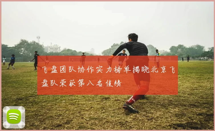 飞盘团队协作实力榜单揭晓北京飞盘队荣获第八名佳绩