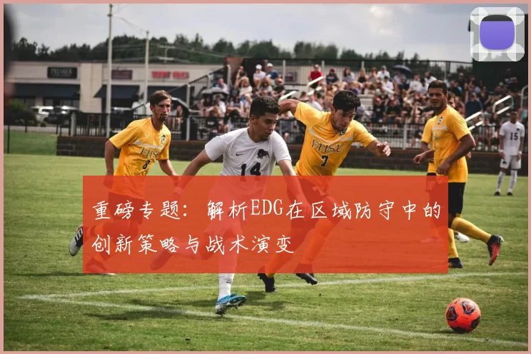 重磅专题：解析EDG在区域防守中的创新策略与战术演变