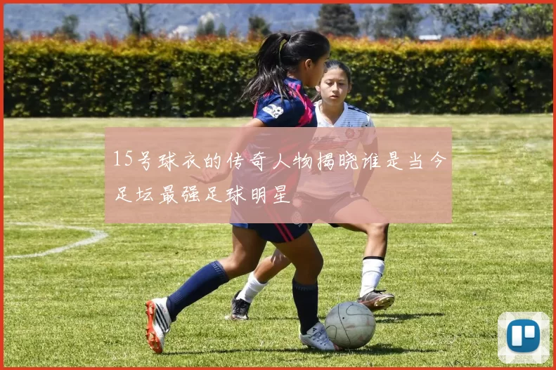 15号球衣的传奇人物揭晓谁是当今足坛最强足球明星