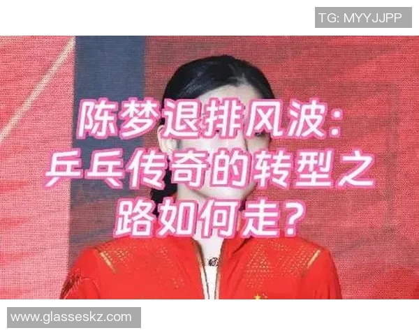 重庆乒乓球队的转型之路与深度解析乒乓球的魅力与挑战