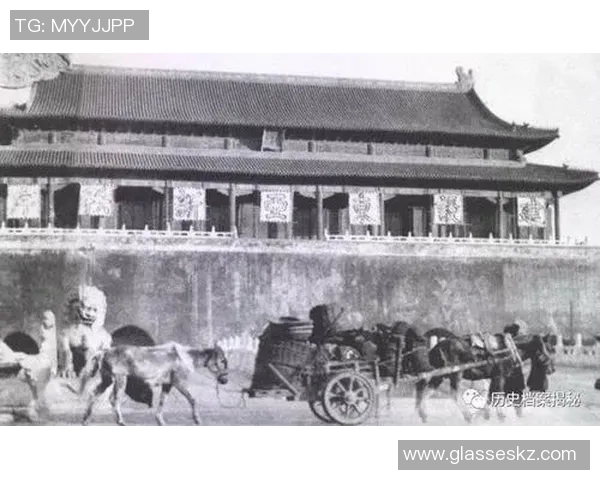 武汉滑板队的速度革命与热议背后的文化变迁与未来展望